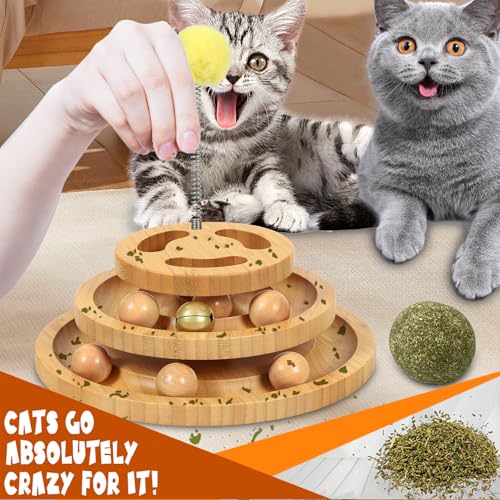 Cat Ball Track with Puzzle Top (Large - Plus)