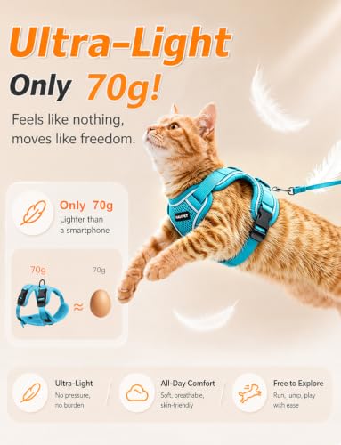 Cat Harness and Leash Set (Night Blue / Small (7-12lb))