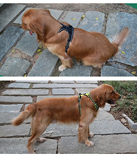 Truelove No Pull Dog Harness with Easy Control Handle and 2 Leash Attachments (X-Large / Red)