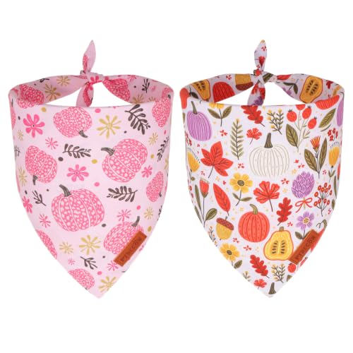 Pink Fall Dog Bandanas (X-Large / Fall-1)