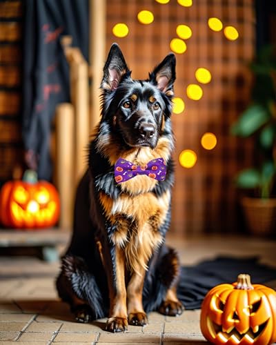 10 Pack Holiday Large Dog Bowties Sliding on Collar (M/L)