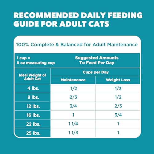 Dry Food Proactive Health Indoor Weight and Hairball Care Dry Cat Food (3.5 Pound (Pack of 1))