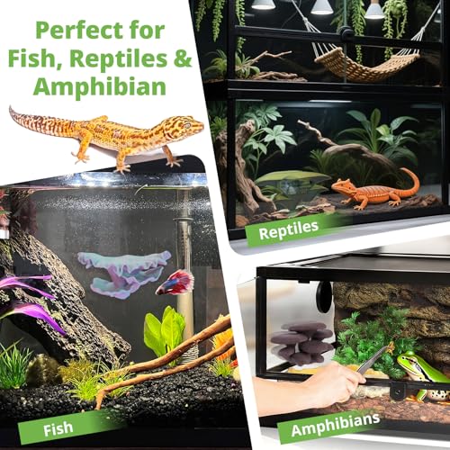 Mushroom Decor for Reptile Tank (Trio Cap / Twilight)