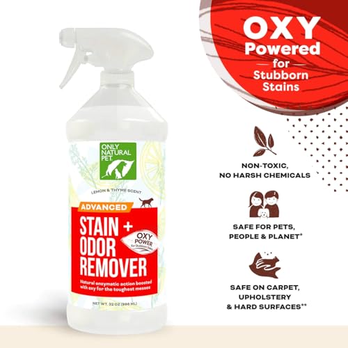 Advanced Stain & Odor Eliminator (32oz (Pack of 1))