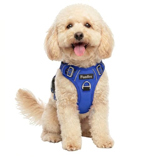 Dog Harness No Pull (Blue / Small)