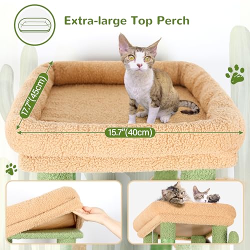 Heavy Duty Cactus Cat Trees for Big Cats Maine Coon (Cactus / 61inch)