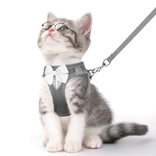 Cat Vest Harness and Leash Set (Grey / S)