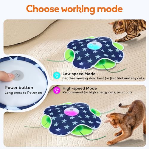 Interactive Cat Toys for Indoor Cats Kittens Mat Toy