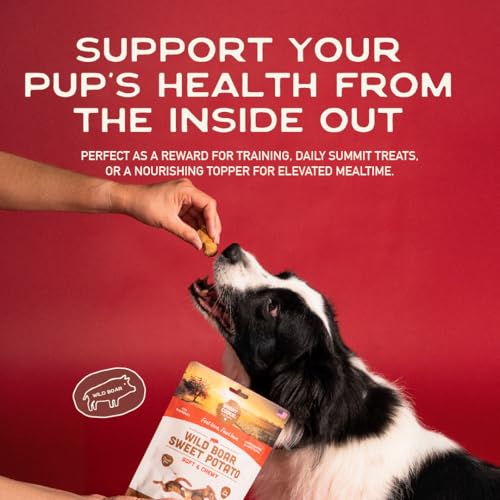 Healthy Soft Dog Treats (5 Ounce (Pack of 1))