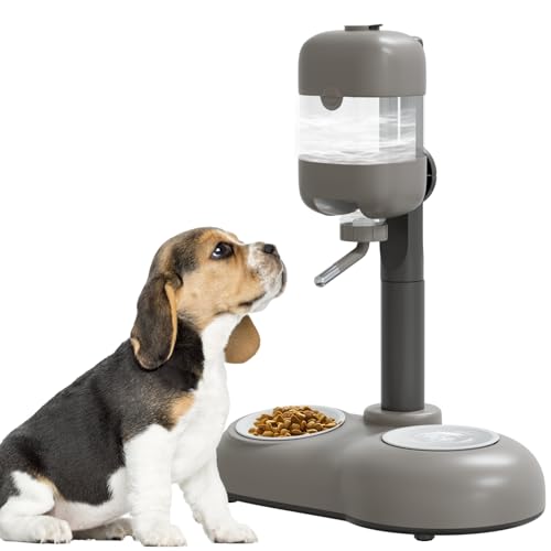 Puppy Bowls for Small Dogs (Gray)