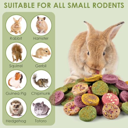 48Pcs Timothy Hay Cake Bunny Chew Toys (1.25 Pound (Pack of 1))