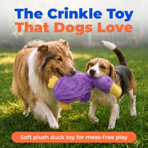 Interactive Squeaky Dog Toy (aCrinkle Duck (Light Purple) / Large)