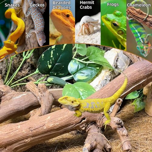 2PCS Snake Climbing Branch (Unpolished Reptile Climbing Wood)