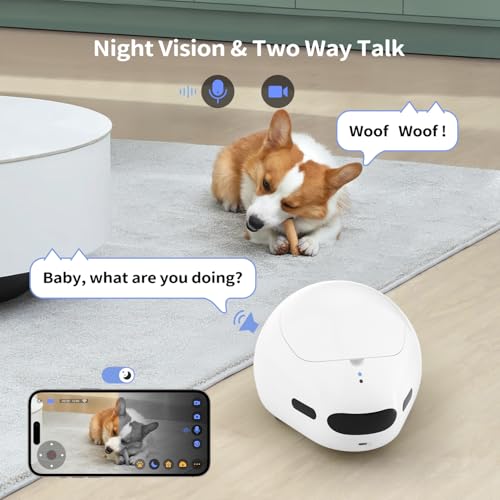 Pet Camera Robot with Treat Dispenser & Laser (White)