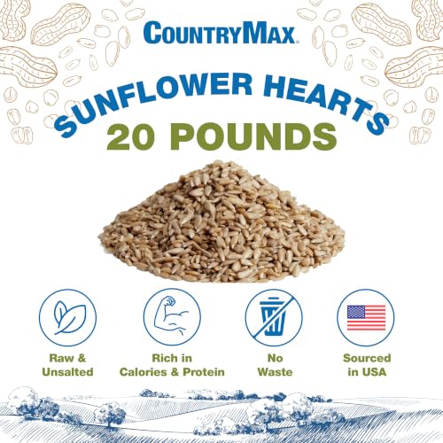 20LB Sunflower Seeds for Birds (Sunflower - Coarse Hearts / 20 Pound (Pack of 1))
