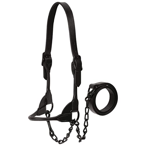 Weaver Leather Livestock Black Magic Show Halter (Medium / Black)