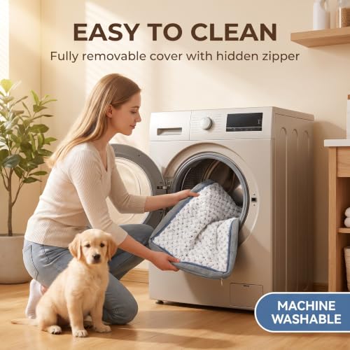 Reversible Dog Bed Mat (L (36"x 24"x 2"))
