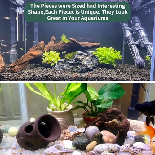 Natural Large Driftwood for Aquarium 12