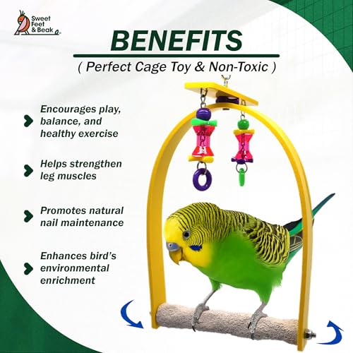 Whirly Bird Swing (Small)