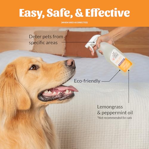 Stay Off! Training Aid Spray for Dogs (Stay Off- 28oz)