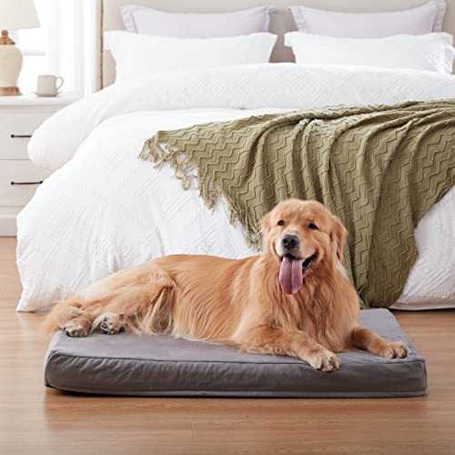 Orthopedic Memory Foam Dog Bed for Large Dogs (Short Plush / XX-Large-47"x 29" x 3.5")