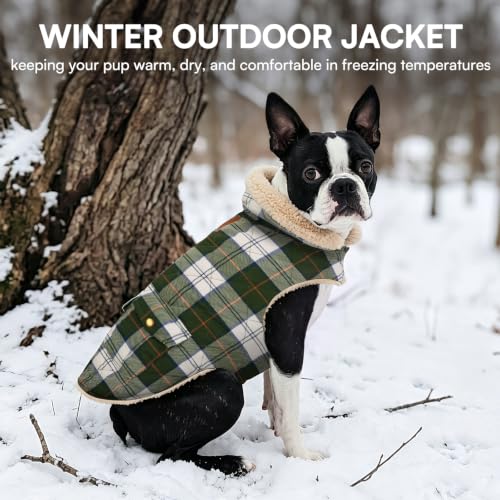 Plaid Winter Dog Jacket Waterpoof Coat Warm Cold Weather Vest (Large / Green-White Plaid)