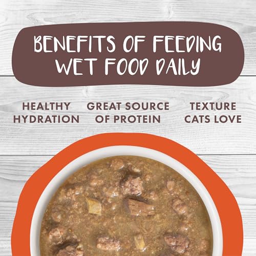Classic Cat Stews! (2.8 Ounce (Pack of 12))