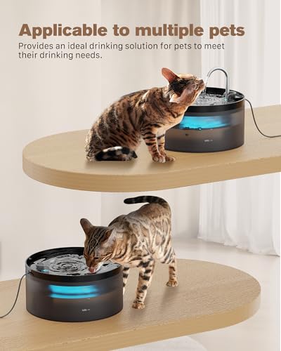 Cat Water Fountain