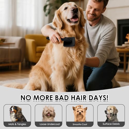 Large Dog 3 in 1 Grooming Kit (Black)
