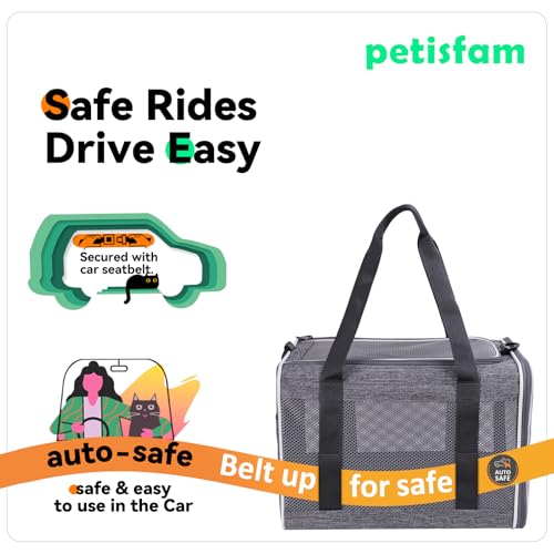 Soft Pet Carrier Bag for Cats and Puppy Under 20 lbs. Sturdy (Grey)