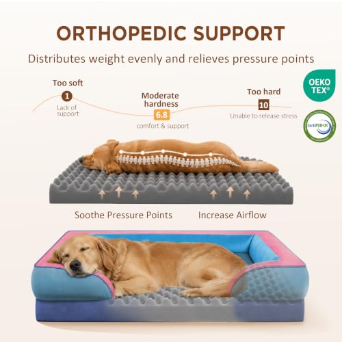 Orthopedic Dog Bed for Extra Large Dogs with Bolster (42.0"L x 30.0"W x 8.5"Th / Enchanted Cove)