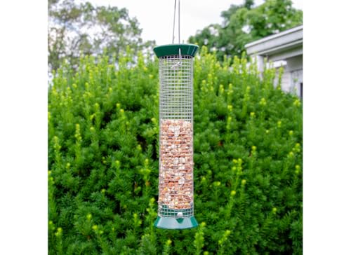 Woodpecker Wild Bird Seed