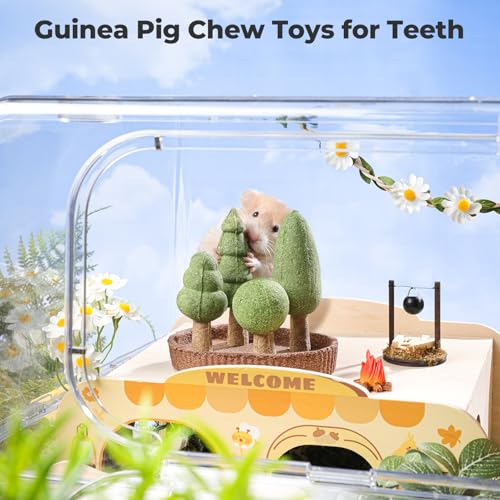 Hamster Chew Toys for Teeth