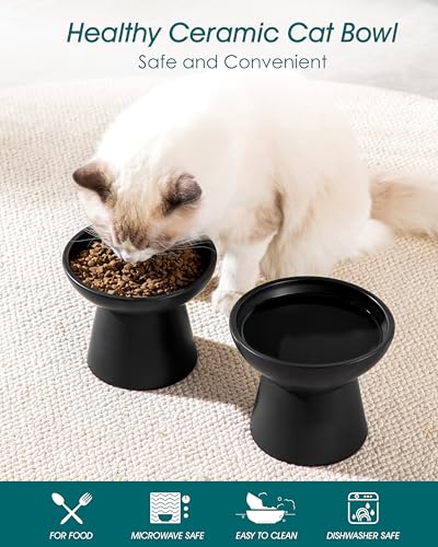 2 Pack Extra Wide Elevated Cat Bowls (Black)