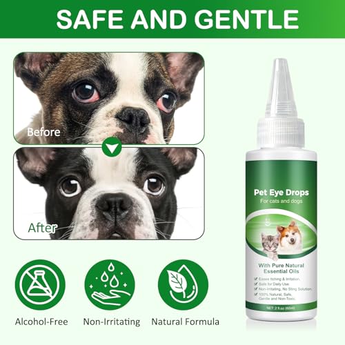 Eye Drops for Dogs (1PCS)