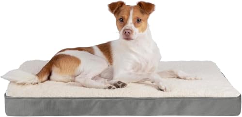 Orthopedic Dog Bed with Memory Foam (Gray / 35" x 22" x 4")