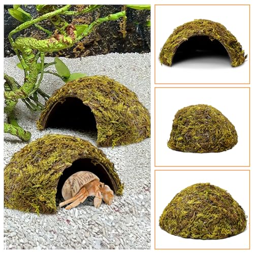4 Pack Natural Green Moss Hermit Crab Hide Caves Coconut Reptile Hideouts (Moss Surface / 4 PCS)