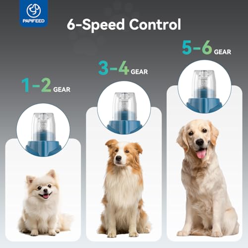 6 Speed Pet Nail Grinder with Dual LED Lights