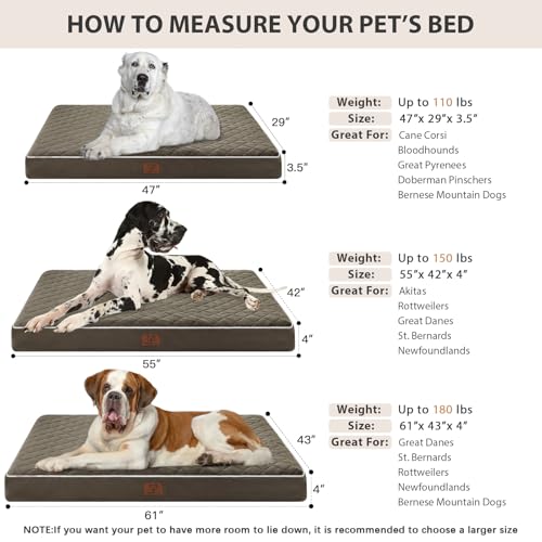Orthopedic Giant Human Dog Beds for Adult & Dog Cozy Sleep (Dark Green / 61"L x 43"W x 4"Th)