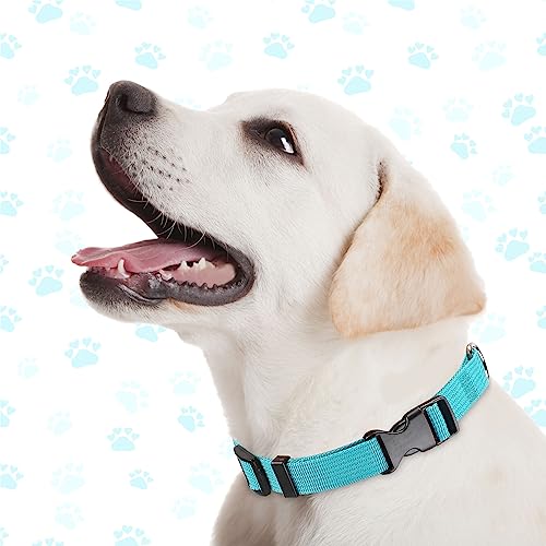 9 Pcs Adjustable Dog Collars Set for Litter (Bright Colors / Medium)