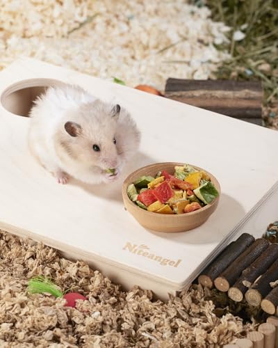 Hamster Snack & Treats Toy