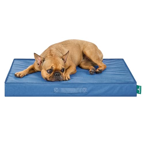 Cooling Dog Bed (Medium / Blue)