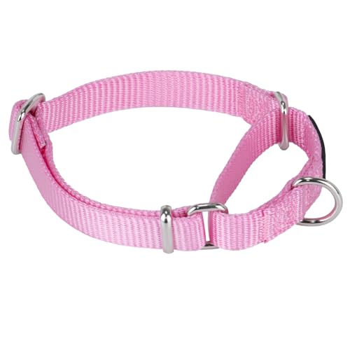 Martingale Dog Collar (Small / Bonbon Pink)