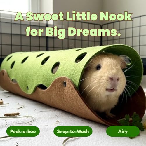 Guinea Pig Tunnel and Tube (Green)