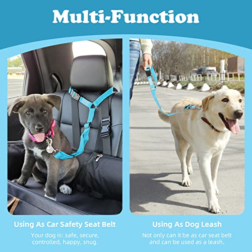 Dog Seat Belt for Car (Blue)