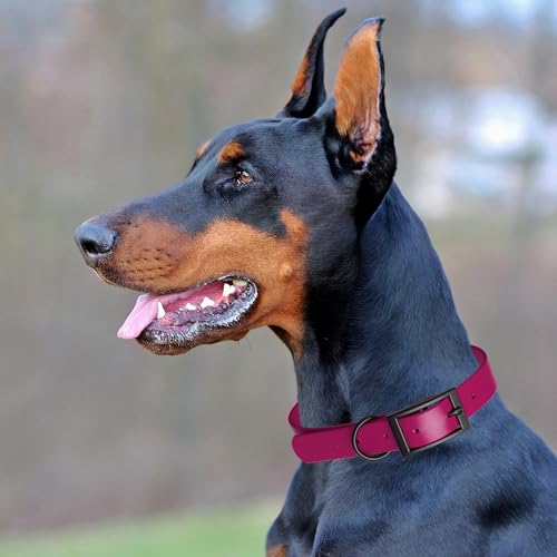 Biothane Waterproof Dog Collar Strong Coated Nylon Webbing with Black Hardware Odor (W3/4" x L15-18" / Magenta Pink)