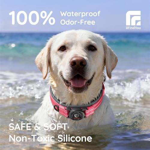 Heavy Duty Dog Collar with AirTag Holder (Rose Red / S (12.5-15in Neck))