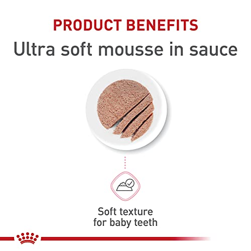 Feline Health Nutrition Mother & Babycat Queen Ultra Soft Mousse in Sauce Cat Food (3 Ounce (Pack of 6))