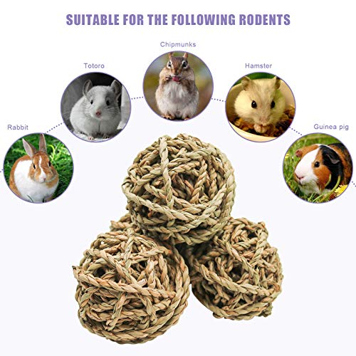 10 Pcs Small Animals Play Balls Rolling Activity Chew Toys Gnawing Treats for Rabbits Guinea Pigs Chinchilla Bunny Natural Balls (10Pcs)