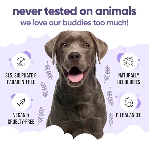 Calming & Deodorising Dog Shampoo by Buddycare (50.72oz)